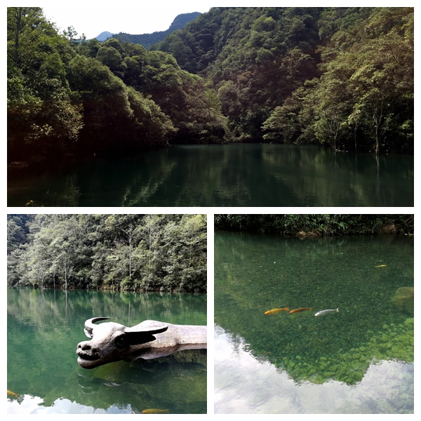 1538118596861797FA82.jpg 牛头山1.jpg