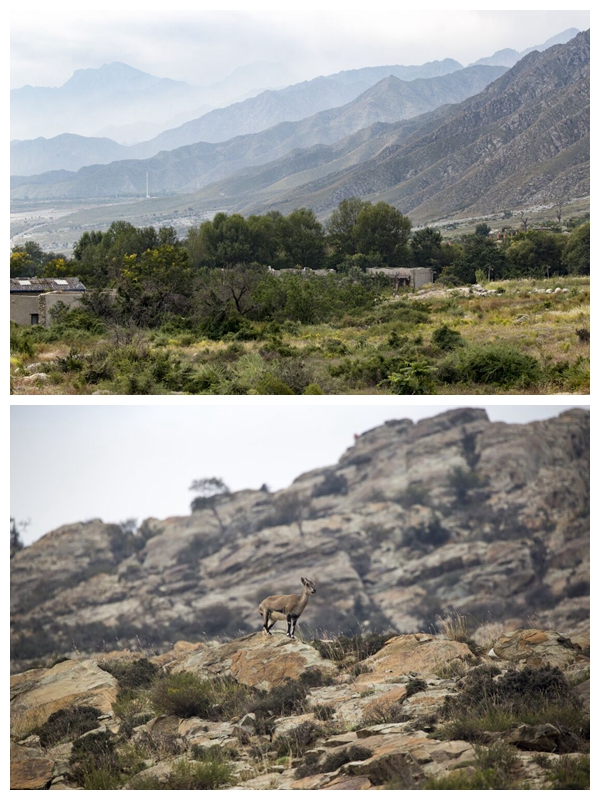 15381190021107462A76.jpg 贺兰山美景.jpg