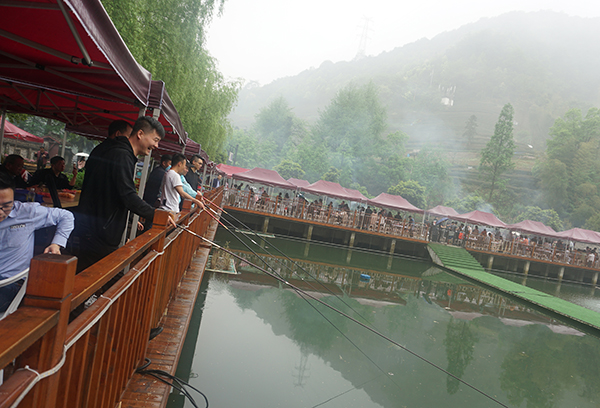 15559239034114693944.jpg DSC08238.JPG